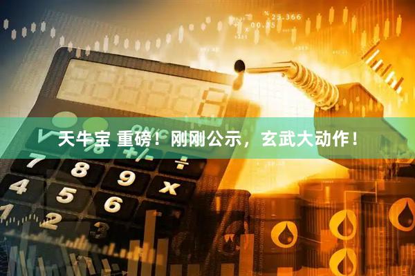 天牛宝 重磅！刚刚公示，玄武大动作！