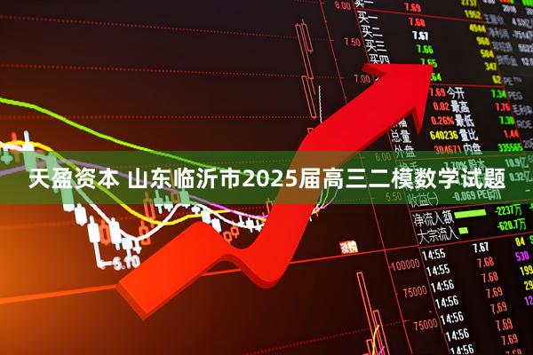 天盈资本 山东临沂市2025届高三二模数学试题
