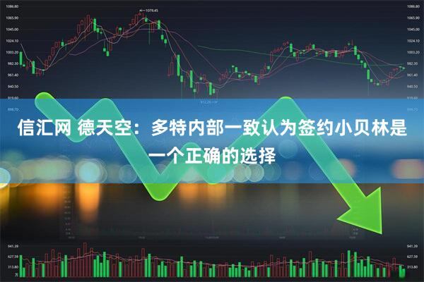 信汇网 德天空：多特内部一致认为签约小贝林是一个正确的选择
