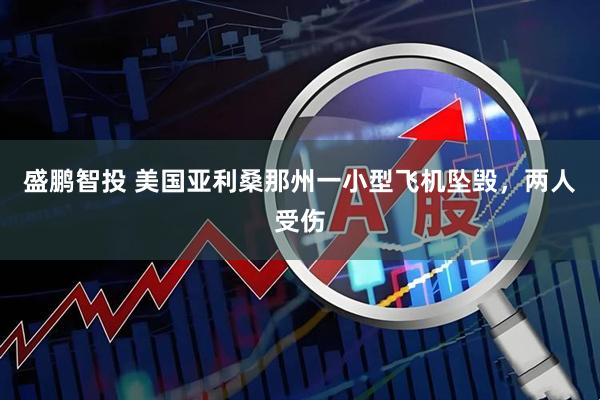盛鹏智投 美国亚利桑那州一小型飞机坠毁，两人受伤