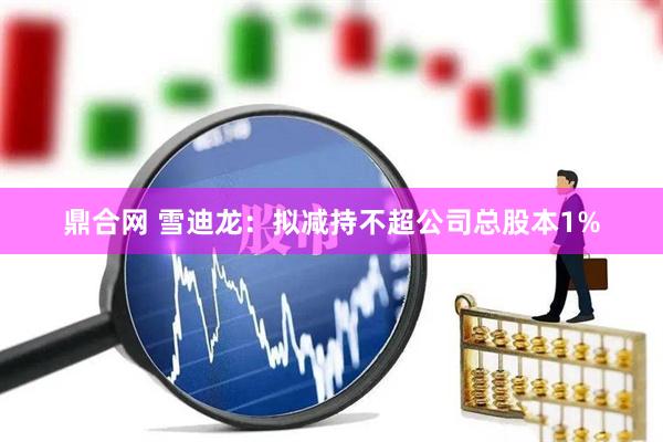 鼎合网 雪迪龙：拟减持不超公司总股本1%