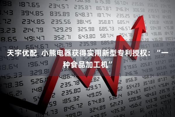 天宇优配  小熊电器获得实用新型专利授权：“一种食品加工机”