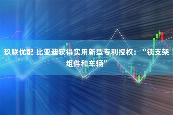 玖联优配 比亚迪获得实用新型专利授权：“锁支架组件和车辆”