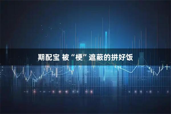 期配宝 被“梗”遮蔽的拼好饭