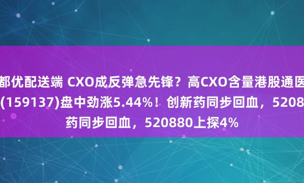 都优配送端 CXO成反弹急先锋？高CXO含量港股通医疗ETF华宝(159137)盘中劲涨5.44%！创新药同步回血，520880上探4%