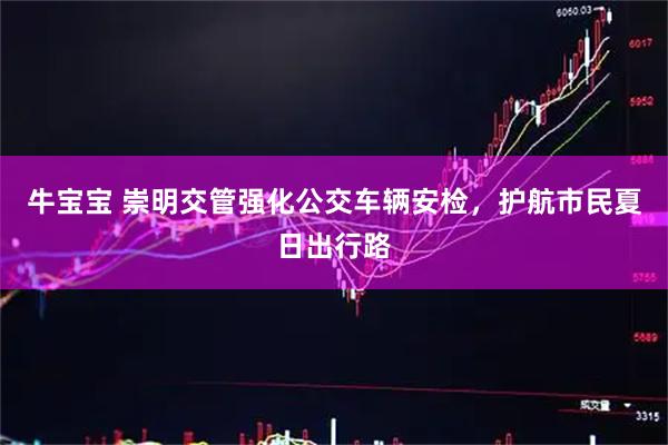 牛宝宝 崇明交管强化公交车辆安检，护航市民夏日出行路